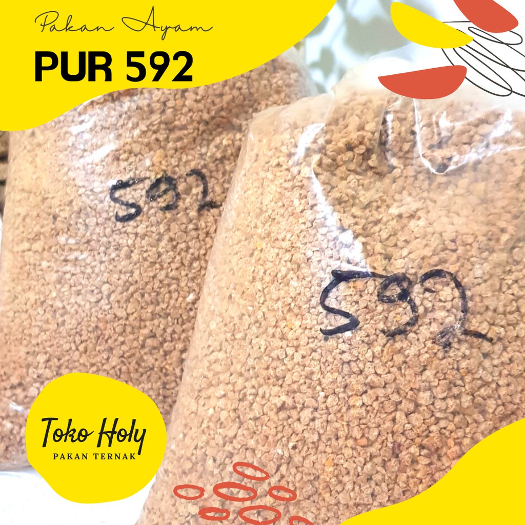 PUR AYAM 592