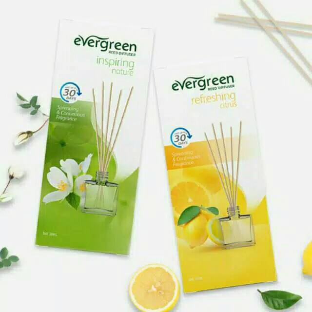 Evergreen Air Freshener Reed Diffuser Aroma therapy Aromatherapy pewangi ruangan-1