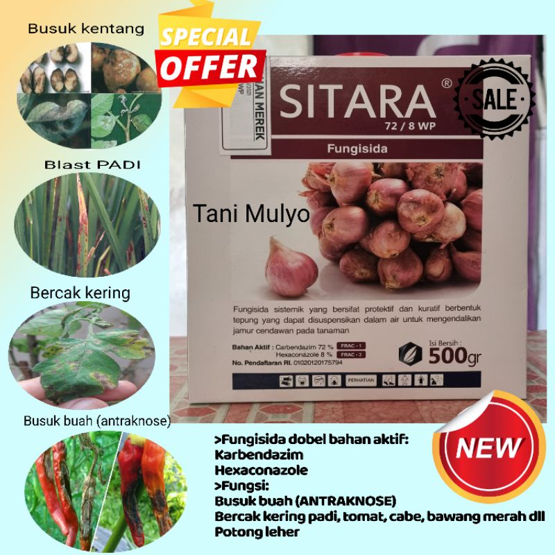 SITARA 500 GR