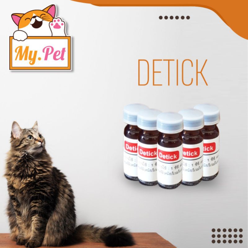 OBAT PEMBASMI KUTU KUCING - DETIK
