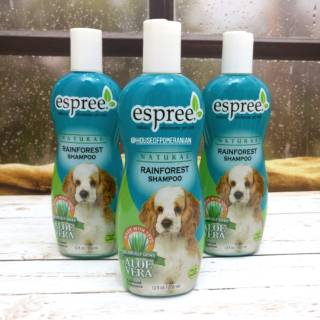 cavalier king charles hypoallergenic