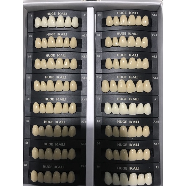 Gigi palsu Huge Kaili Anterior Upper (depan atas) 1box isi 16 papan Made in Germany