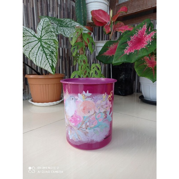 shabby chic canister 3L/toples promo Tupperware