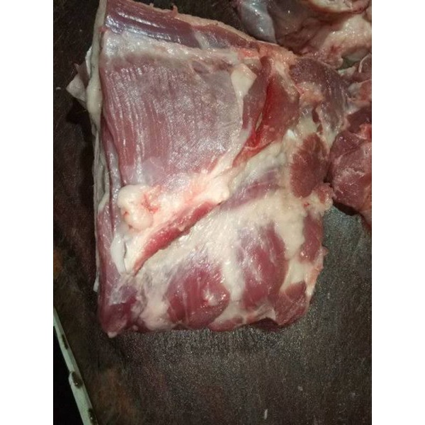 

DAGING BABI