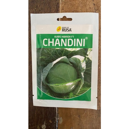 Benih Kubis CHANDINI isi 10gr dr Cap Rusa F