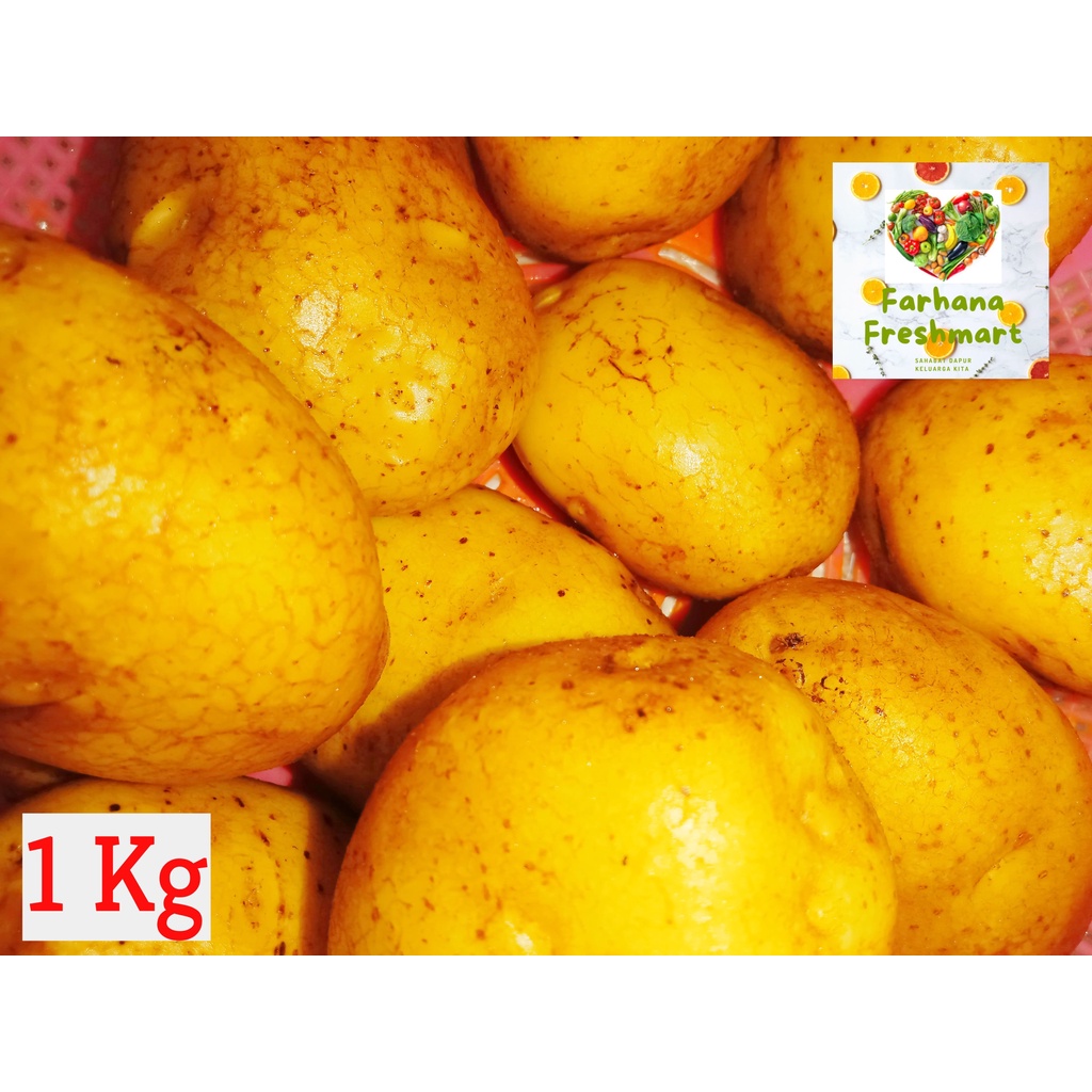 

JUAL MURAH KENTANG BESAR SUPER 1 KG