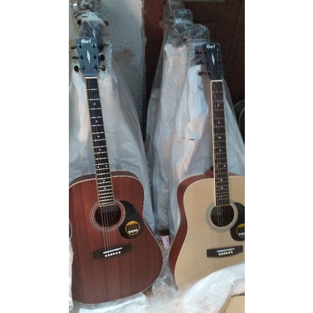 gitar akustik cort custom