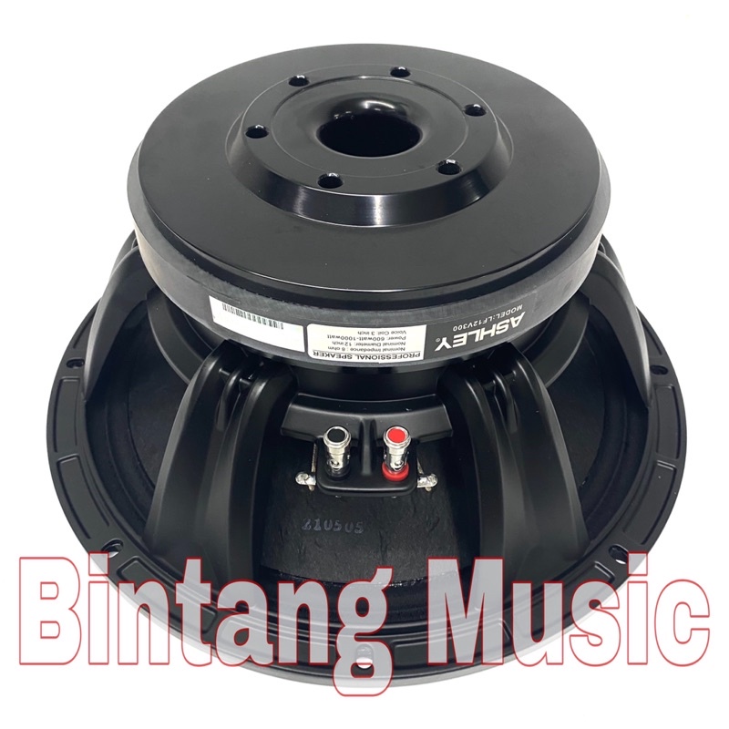 Speaker Component Ashley LF12V300 original ashley lf12v300