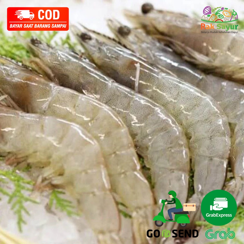 

Udang Segar Kelong Vaname ukuran Sedang 250gr Ikan Segar Rak Sayur Padang