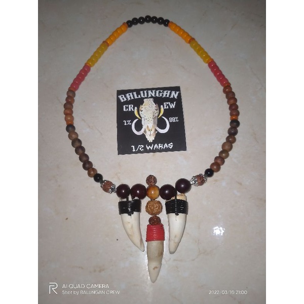 kalung tarbuy taring buaya