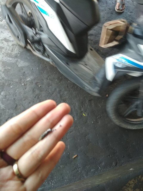 Toolbox 18 Inch Kenmaster