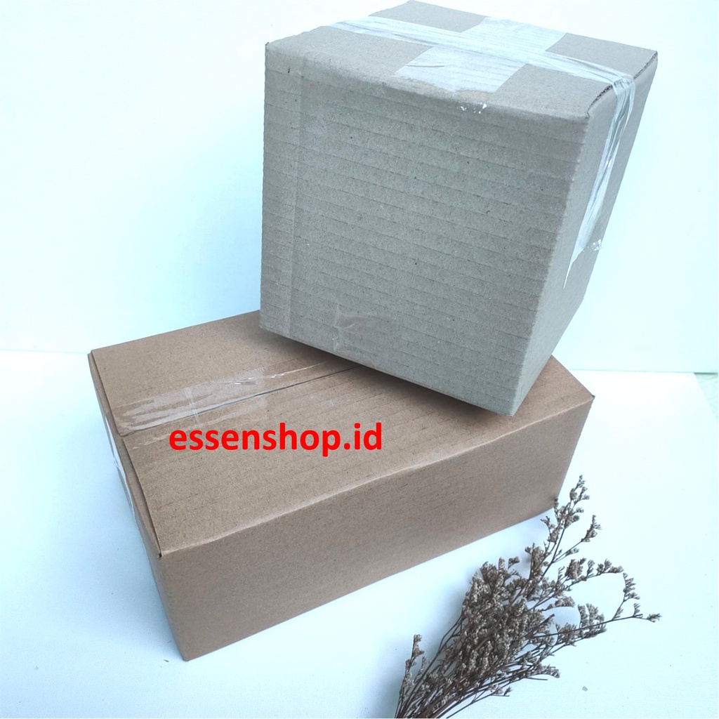 Packing extra DUS Kardus