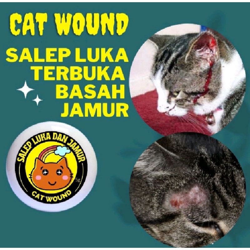 Salep Obat Luka Terbuka Luka Basah Bernanah Berkelahi Jamur Borok Gatal Cat Wound