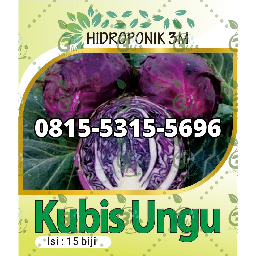 Benih - Kubis Ungu - Repack
