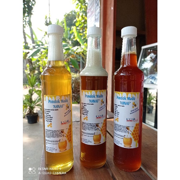 

madu hutan nektar randu