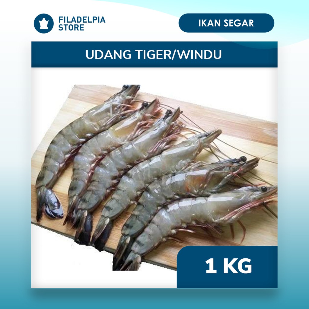 

Udang windu/Tiger Fresh Murah Diskon Bandung