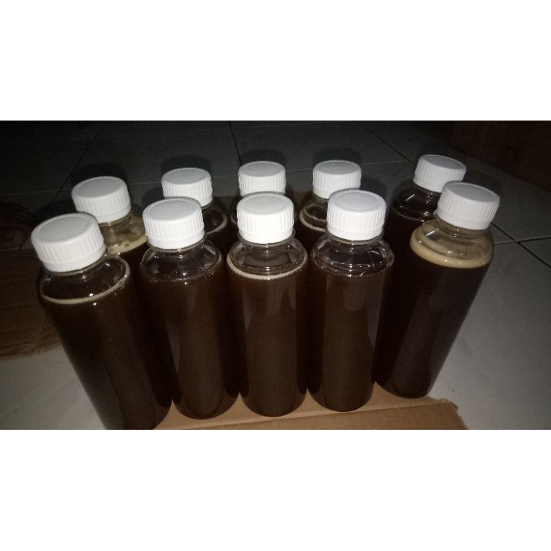 

Madu klanceng / Trigona