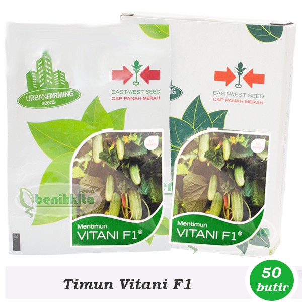 Benih-Bibit Timun Lalap Vitani F1 (Cap Panah Merah)