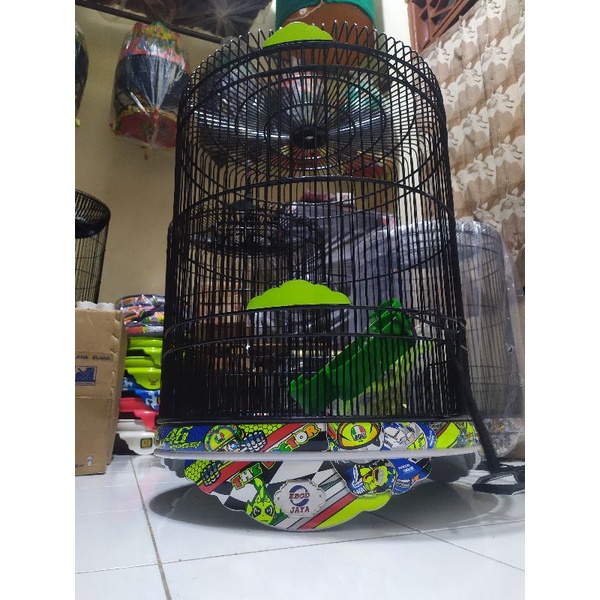 SANGKAR Murai ebod decal Rossi