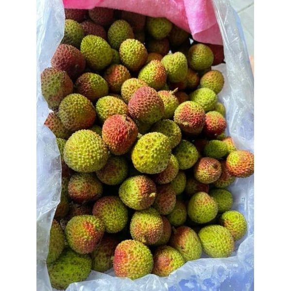 

buah leci