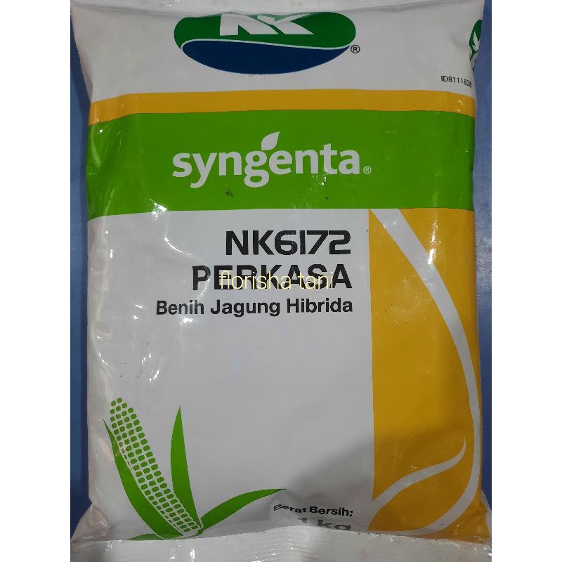 Benih Jagung Hibrida NK6172 PERKASA syngenta