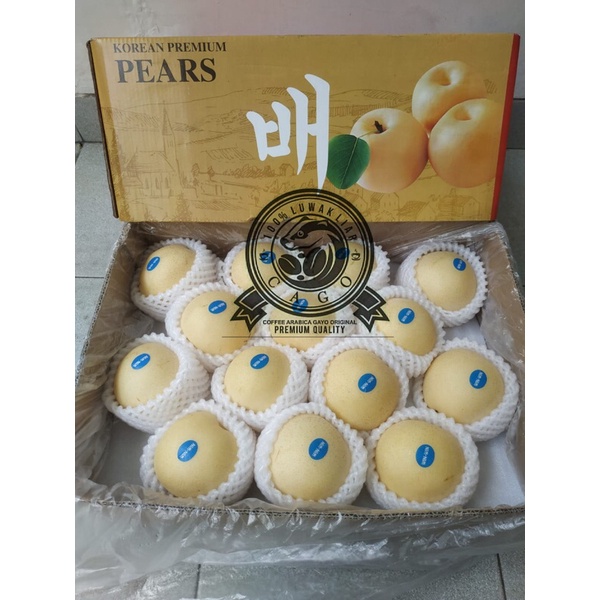 

Buah Pear Pir Golden Korea Premium 1 Dus (9 KG) Fresh Import