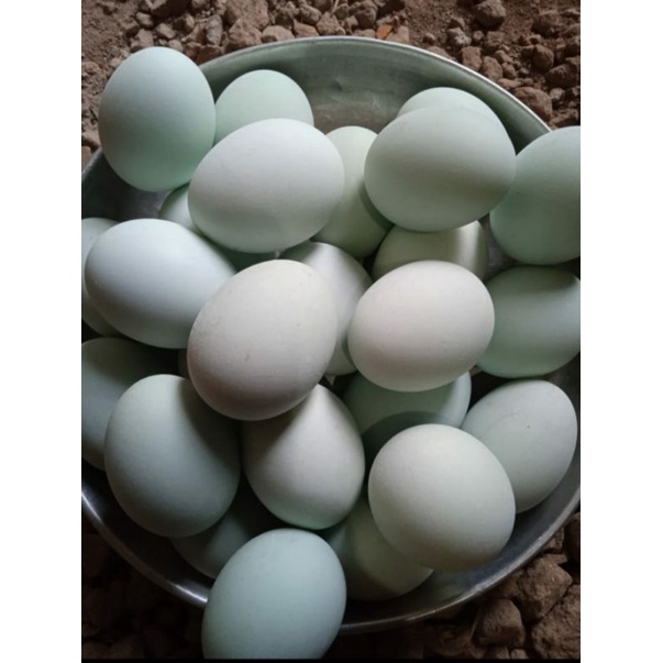 

Telur Asin Matang Isi 6pcs Home Made Original Terlaris