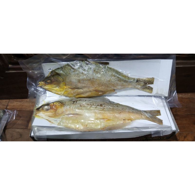 

bandeng presto 77 ekosuprapti25