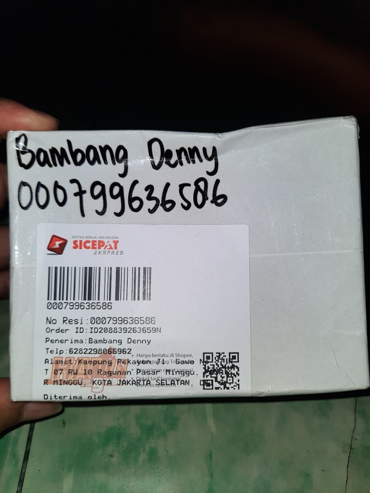 Pipe Once Akar Bahar Tali Arus Merah Hk 092