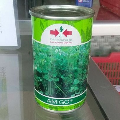 Benih Seledri Amigo 50 gr