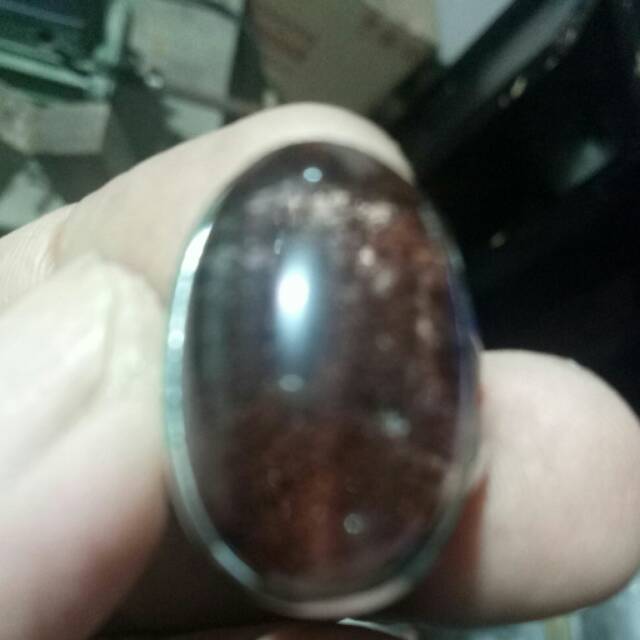 

Phantom lumut coklat 135