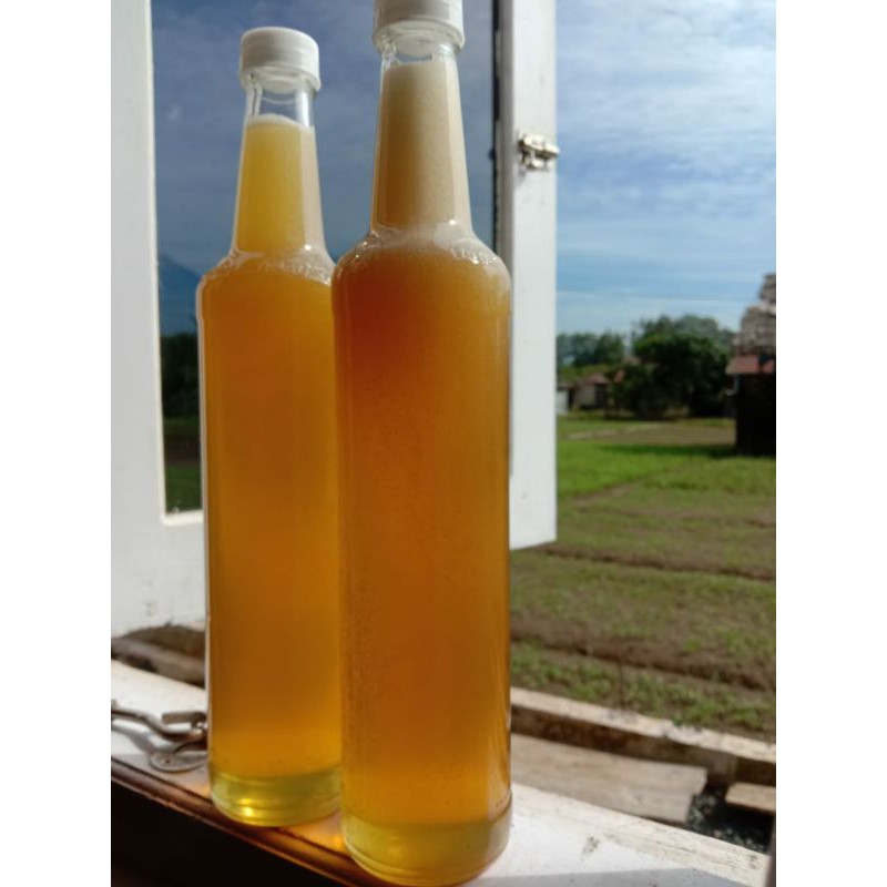 

Madu Asli Hutan Kalimantan