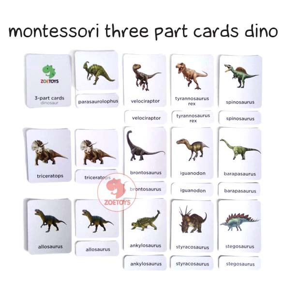 Zoetoys Montessori Three Part Cards Wild Ocean Animal Bug Dinosaur | LANGUAGE Nomenclature | Terminology Cards Kartu Terminologi | Flashcards |Mainan Edukasi Anak