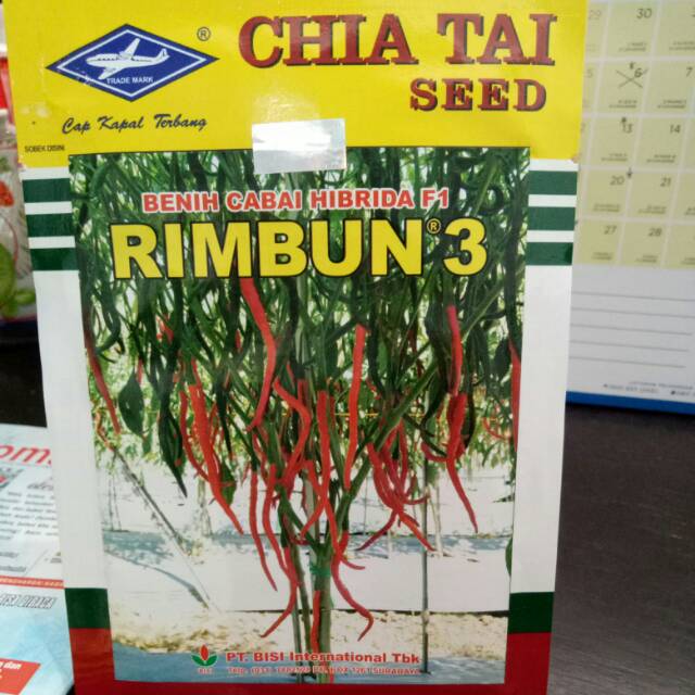 Benih cabai keriting Rimbun