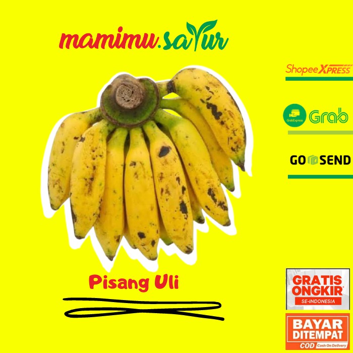 

PISANG ULI SUPER 1 SISIR PISANG ULI SEGAR PISANG ULI FRESH SATU SISIR