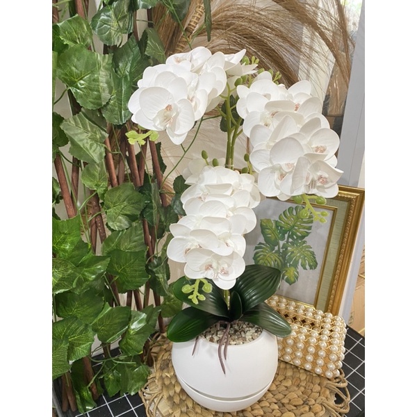 BUNGA ANGGREK NEW CAB 3 ANGGREK LATEX/RANGKAIAN ANGGREK LATEX