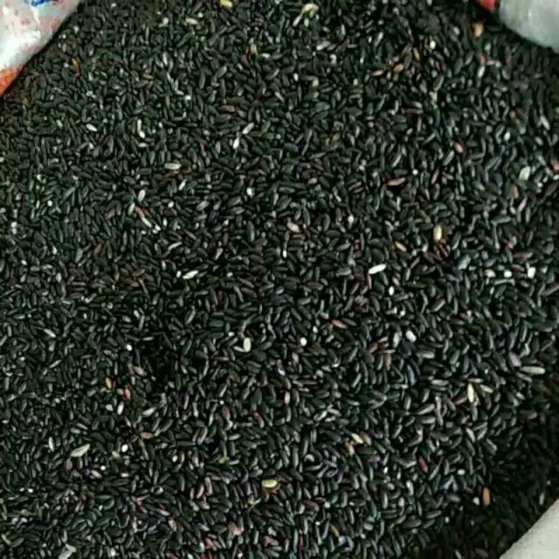 

ketan hitam 1000 gram