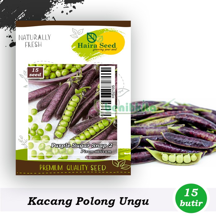 Benih-Bibit Kacang Kapri/Polong Sugar Snap 2 (Haira Seed)