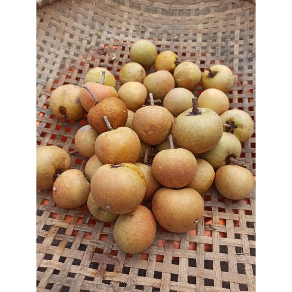 

SAWO MANIS MATENG / SAWO APEL MANIS FRESH