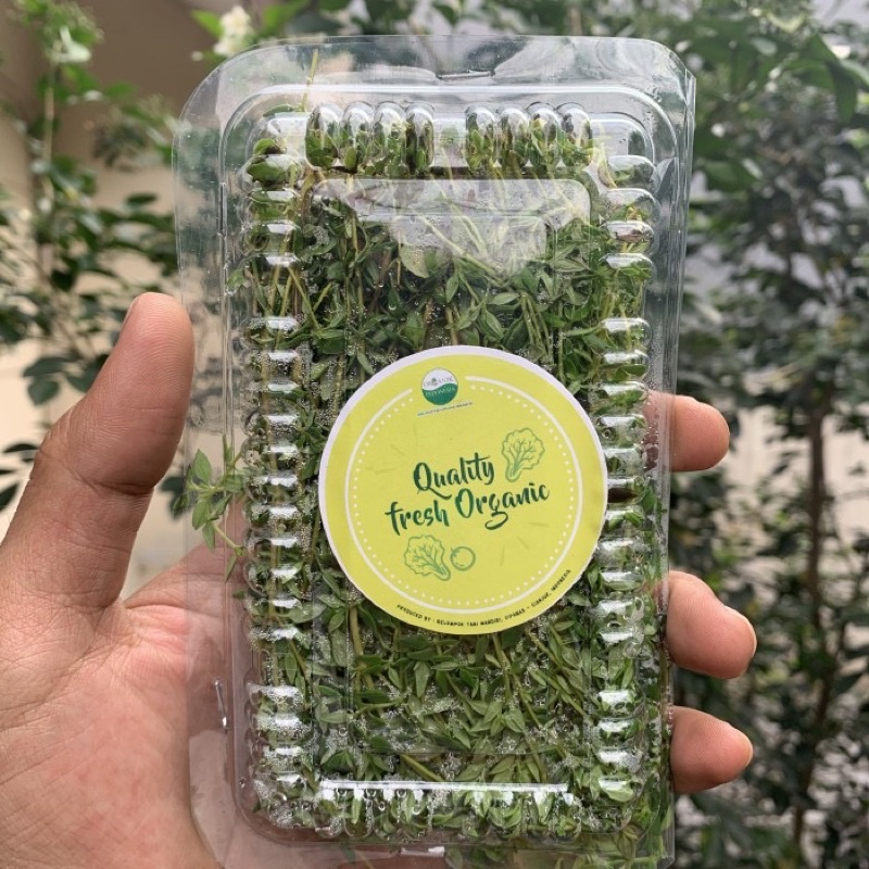 

Daun thyme organik
