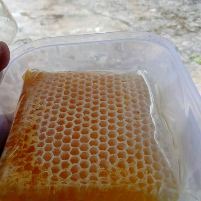 

Madu sarang 500gr