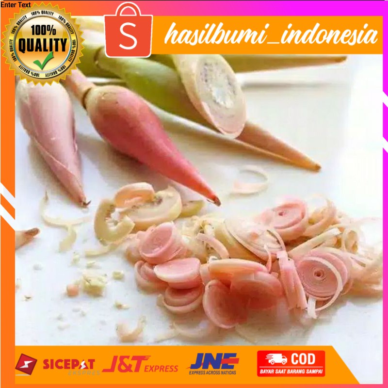 

buah kincung, kecombrang (sambel enak) segar, cocok untuk sayur - per 10pcs