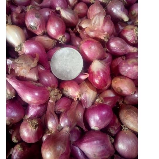 

☄️Awas!!! Bawang Merah Kering Tanggung Campur Kecil #Terbagus