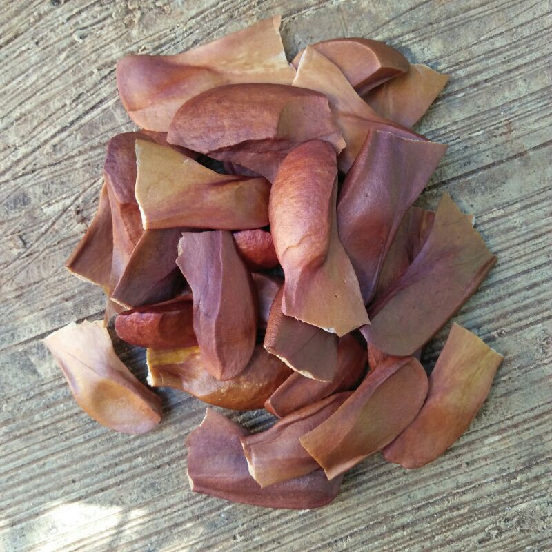 

BIJI MAHONI KERING 100GR BIJI MAHONI BELUM KUPAS