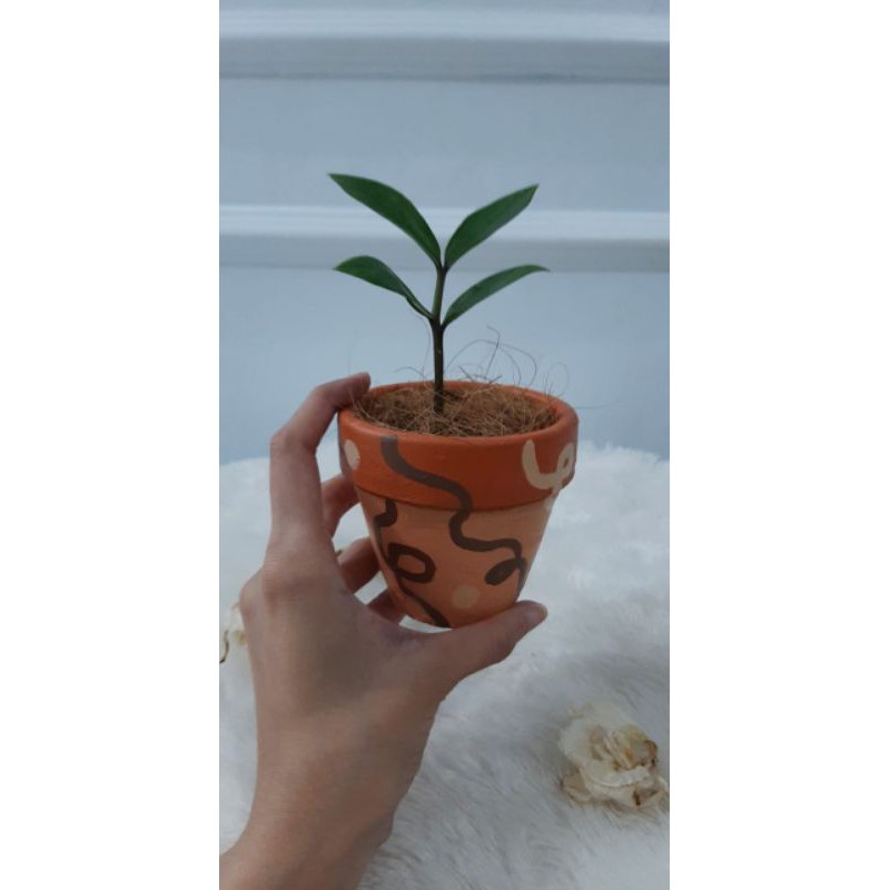 

Pot Lukis Tanah Liat