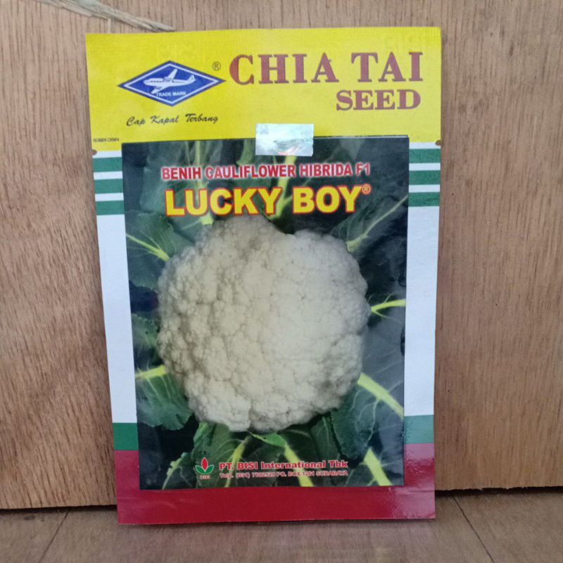 

Benih kembang kol LUCKY BOY Hibrida F1 Chia Tai seed Cap kapal terbang