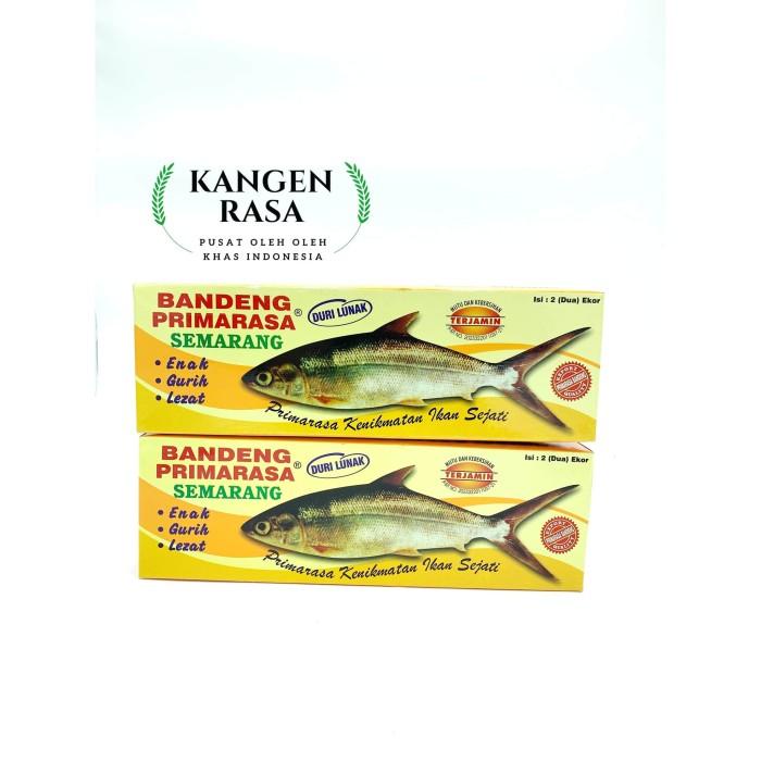 

Bandeng Primarasa Semarang (isi 2 ekor) Best Seller