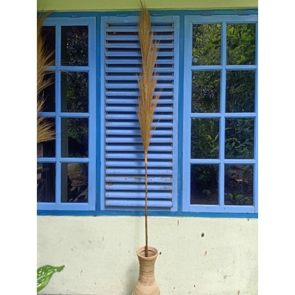 Jual Rayung Sulak Rayung Rustic Rayung Natural Rayung Dekorasi Termurah