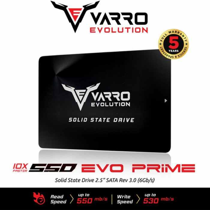 SSD VARRO 128/256GB EVOLUTION SATA III RW UP 550MB GARANSI 5TH - VARRO128