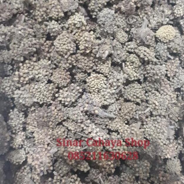 

Tian qi Hua / Noto Ginseng Flower/ Teh bunga ginseng 100 gram